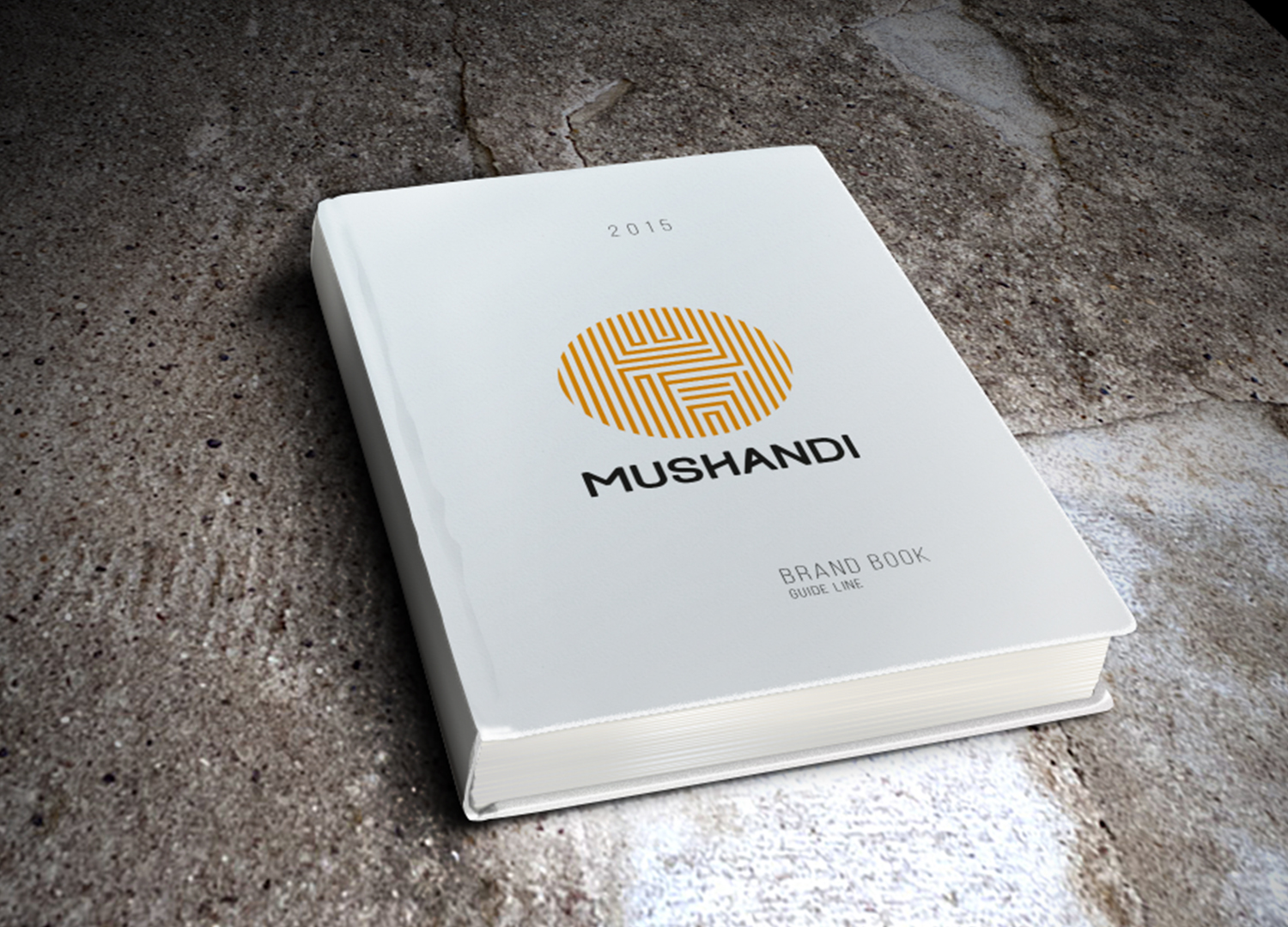 mushandi-4