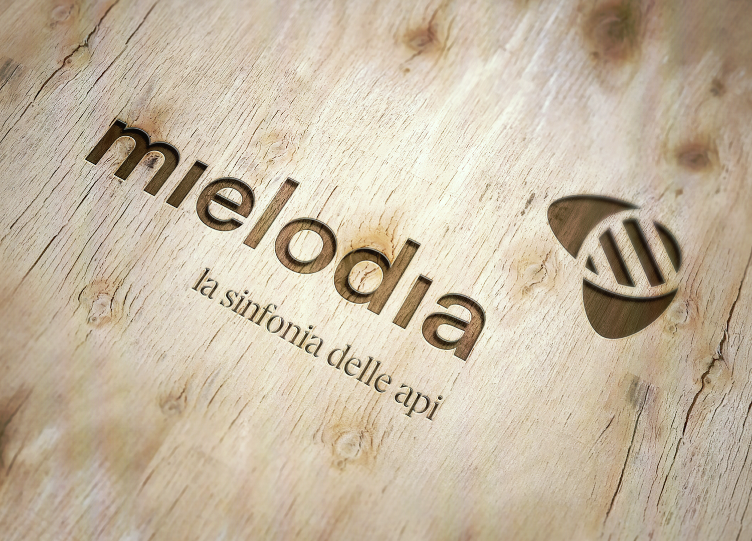 Mielodia-4